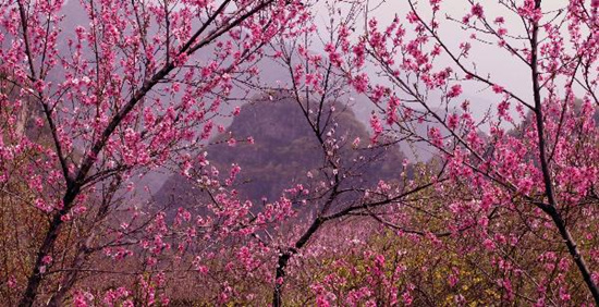 撿垃圾換玫瑰 女人節(jié) 愛(ài)在神農(nóng)山！