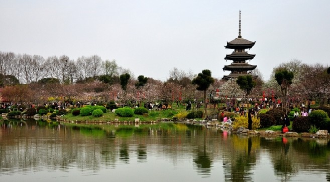 我和鮮花的約會(huì) 三月旅游賞花大攻略