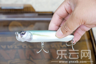 　　又稱擬餌釣魚(yú),起源于歐洲,國(guó)內(nèi)翻譯為“路亞”。