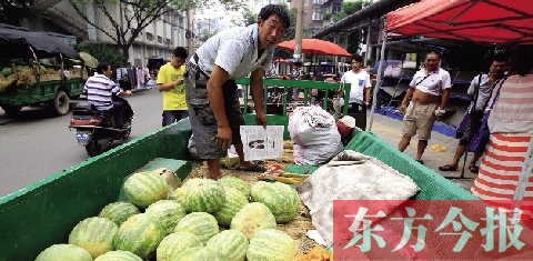 因為夜里睡太沉，來鄭州賣瓜的開封瓜農(nóng)姚老漢不但丟錢還丟瓜