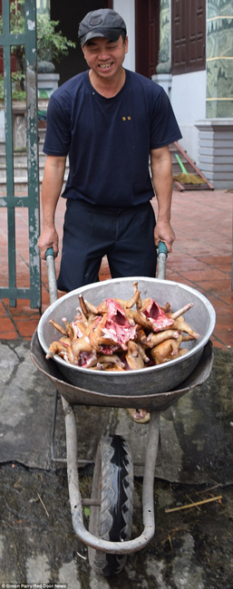 越南貓肉餐廳：將貓淹死、剝皮、切成小塊，再油炸